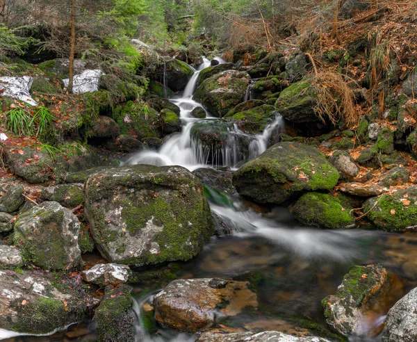 Černý Vodopád Černém Potoce Národním Parku Šumava Jaře — Stock fotografie