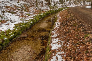 Schwanzenberg, Sumava Ulusal Parkı 'ndaki ağaçlar için eski bir kanal.