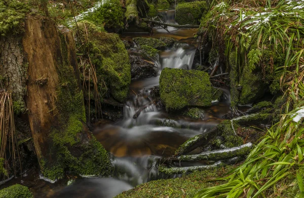 Torrt Gräs Och Frostig Istapp Nära Hajny Bäck Nationalparken Sumava — Stockfoto