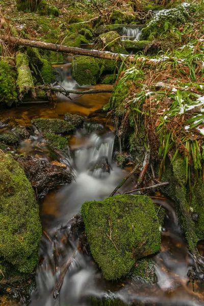 Grama Seca Gelo Gelado Perto Riacho Hajny Parque Nacional Sumava — Fotografia de Stock