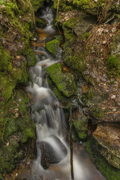 Erba Secca Ghiacciolo Ghiacciato Vicino Torrente Hajny Nel Parco Nazionale — Foto Stock