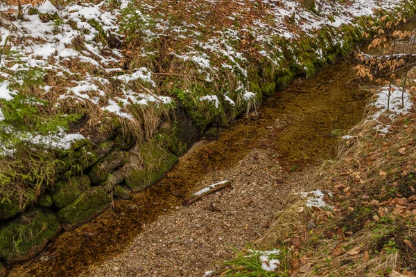 Schwanzenberg Régi Csatorna Fák Hegyi Erdők Sumava Nemzeti Park — Stock Fotó