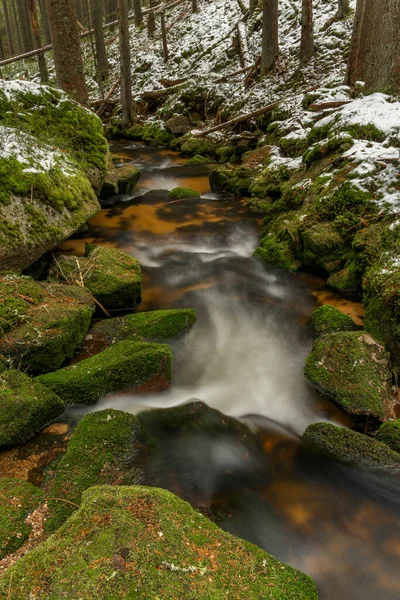 Creek Hucina Com Pedras Dia Frio Nevado Primavera Parque Nacional — Fotografia de Stock