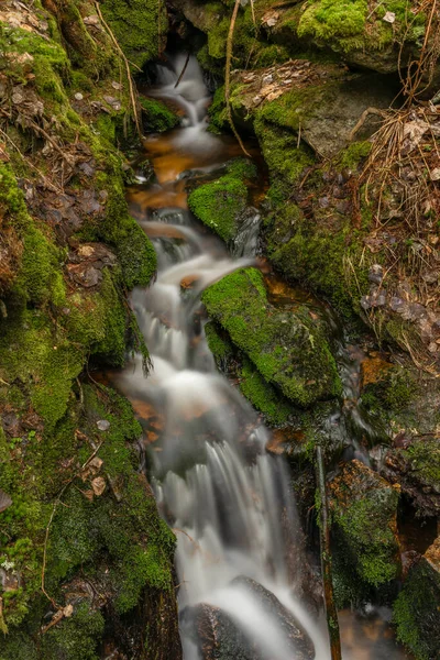 Grama Seca Gelo Gelado Perto Riacho Hajny Parque Nacional Sumava — Fotografia de Stock