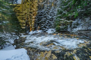Plattenfall taze şelalesiyle güneşli ve dondurucu bahar sabahında Kamenice deresi