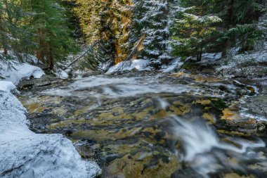 Plattenfall taze şelalesiyle güneşli ve dondurucu bahar sabahında Kamenice deresi