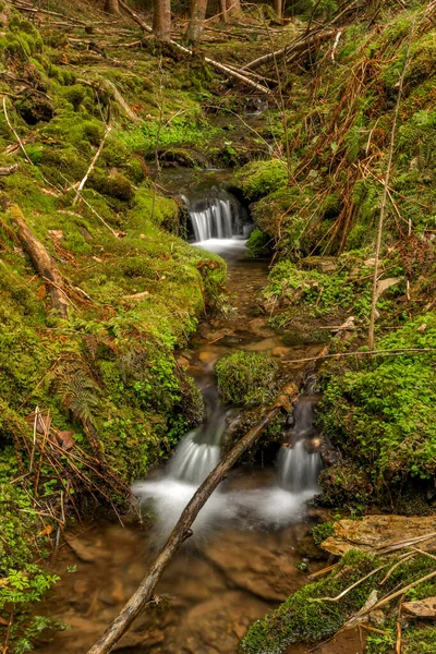 Farsky Bach Frühling Farbe Morgen Der Nähe Von Roprachtice Dorf — Stockfoto