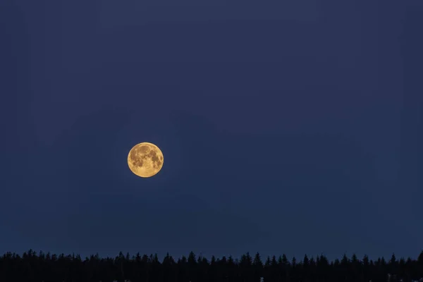 Orange Full Moon Dark Blue Sky Forest Jizerske Mountains Spring — Stock Photo, Image