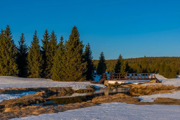 Κρύο Πρωινό Κοντά Στη Συμβολή Των Safirovy Και Jizerka Creeks — Φωτογραφία Αρχείου