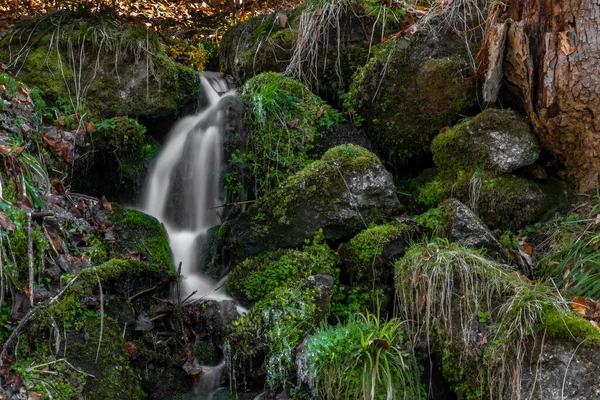 Malý Pramenitý Potok Zelenými Mechovými Kameny Jizerských Horách Chladném Slunečném — Stock fotografie