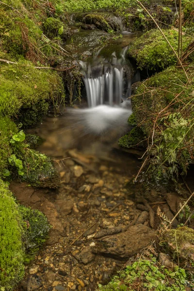 Farsky Bach Frühling Farbe Morgen Der Nähe Von Roprachtice Dorf — Stockfoto