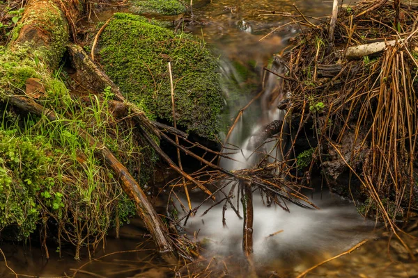 Farsky Bach Frühling Farbe Morgen Der Nähe Von Roprachtice Dorf — Stockfoto