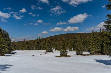Polonya 'nın Jizerske dağlarındaki Orle köyünün yakınındaki bahar çayırında kar güneşli bir günde.
