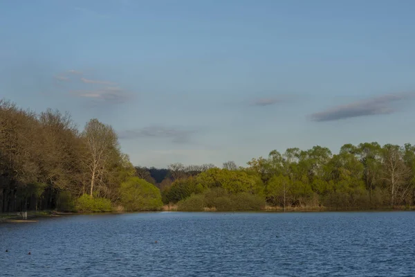 Estanque Nadeje Cerca Ciudad Hluboka Nad Vltavou Color Primavera Tarde — Foto de Stock