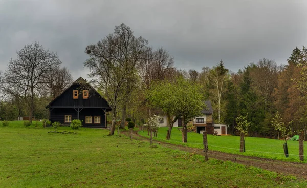 Weiden Bossen Buurt Van Vizovice Stad Grote Regen Met Bewolkte — Stockfoto