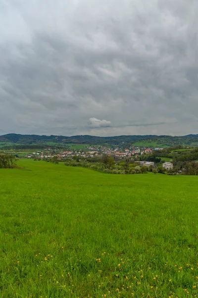 Weiden Bossen Buurt Van Vizovice Stad Grote Regen Met Bewolkte — Stockfoto