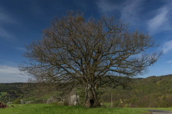 Prairies Sur Horni Lhota Village Printemps Ensoleillé Matinée Fraîche Dans — Photo