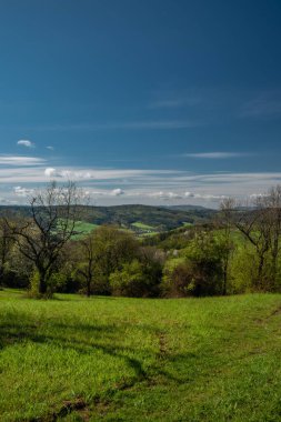İlkbaharda Homole köyü yakınlarındaki çayırlar ve ağaçlar. Doğu Moravya 'da güneşli bir sabah.