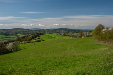İlkbaharda Homole köyü yakınlarındaki çayırlar ve ağaçlar. Doğu Moravya 'da güneşli bir sabah.
