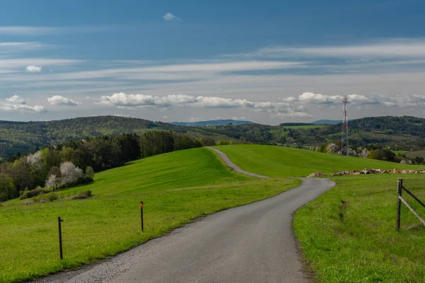 Prairies Arbres Près Homole Village Printemps Ensoleillé Matinée Fraîche Dans — Photo