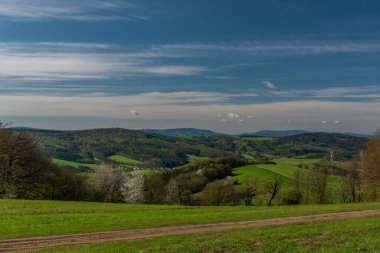 İlkbaharda Homole köyü yakınlarındaki çayırlar ve ağaçlar. Doğu Moravya 'da güneşli bir sabah.