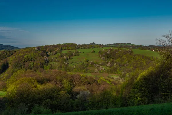 Meadows Trees Homole Village Spring Sunny Fresh Morning East Moravia — Stock fotografie