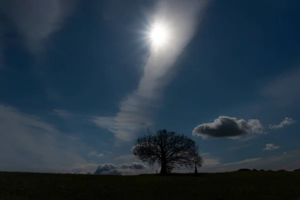 Prados Árvores Perto Homole Aldeia Primavera Ensolarado Manhã Fresca Leste — Fotografia de Stock