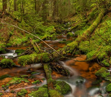 Skrivan renk deresi soğuk yağmurdan sonra bahar sabahı Krusne dağlarında
