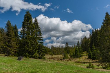 Krusne dağlarında taze çayırları ve ormanları olan Prebuz köyü