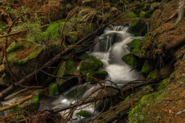 Skrivan renk deresi soğuk yağmurdan sonra bahar sabahı Krusne dağlarında