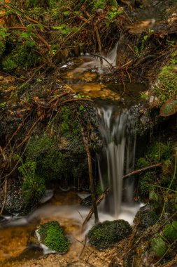Skrivan renk deresi soğuk yağmurdan sonra bahar sabahı Krusne dağlarında