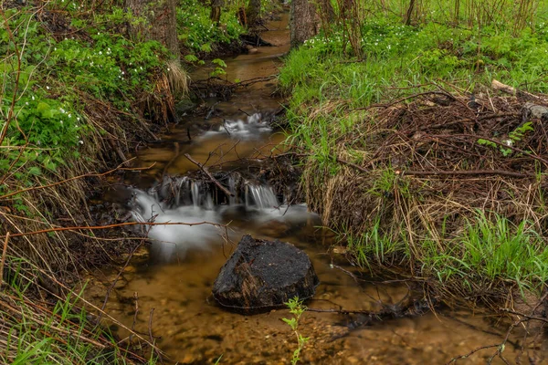 Nejdecky Bäck Krusne Bergen Våren Morgon Efter Kallt Regn — Stockfoto