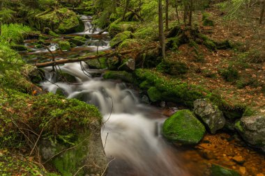 Skrivan renk deresi soğuk yağmurdan sonra bahar sabahı Krusne dağlarında