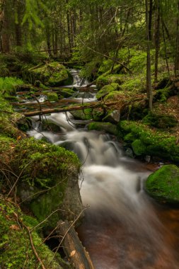 Skrivan renk deresi soğuk yağmurdan sonra bahar sabahı Krusne dağlarında