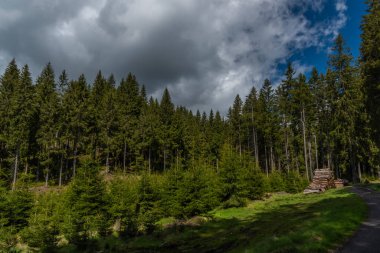 Krusne dağlarındaki Prebuz köyü yakınlarındaki ormanlar ve ağaçlar bahar rengi gününde