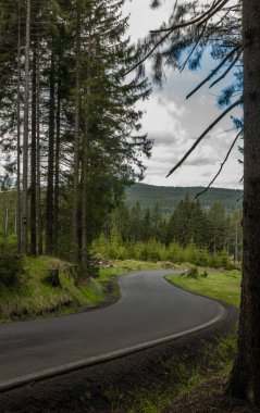 Krusne dağlarındaki Prebuz köyü yakınlarındaki ormanlar ve ağaçlar bahar rengi gününde