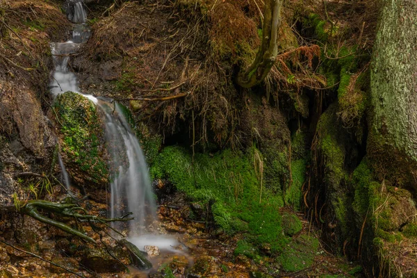 Маленький Водопад Возле Долины Лиси Весенним Цветом Свежий Влажный День — стоковое фото