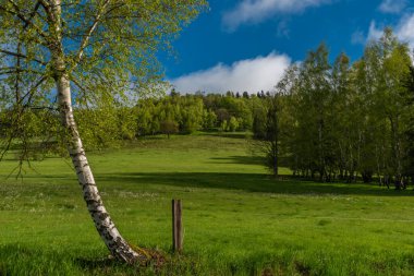 Nejdek kasabası yakınlarında sabah taze yeşil çayır ile her gece yağmur yağar.