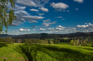 Akşamları Nejdek kasabasında gün batımında taze yeşil çayırlar her gece yağmur yağar.