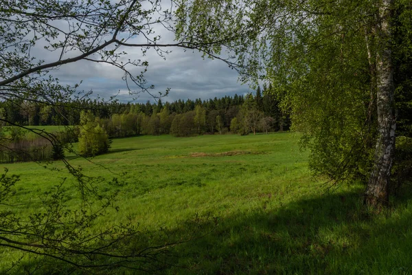 Reggel Közelében Nejdek Város Friss Zöld Legelő Föld Után Éjszakai — Stock Fotó