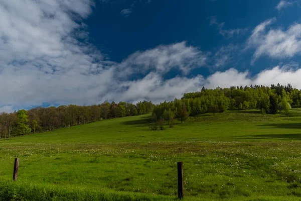 Ochtend Buurt Van Nejdek Stad Met Vers Groen Weiland Nacht — Stockfoto