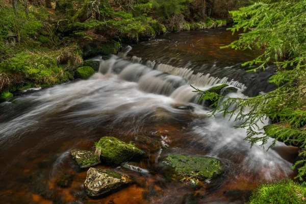 Rolava Řeka Čerstvými Loukami Lesy Krkonoších — Stock fotografie