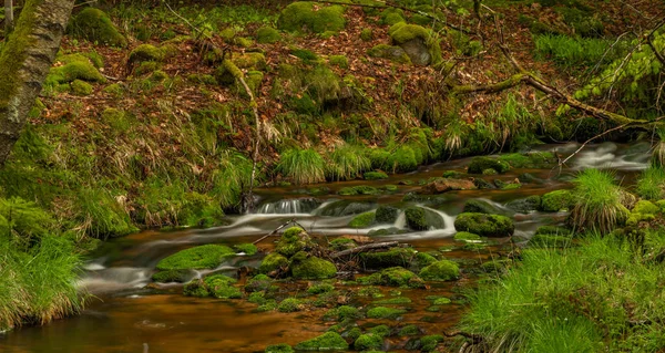 Skrivan Färg Bäck Krusne Bergen Våren Morgon Efter Kallt Regn — Stockfoto