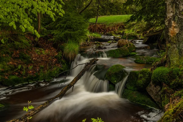 Skrivan Color Creek Krusne Mountains Spring Morning Cold Rain — Stock Photo, Image