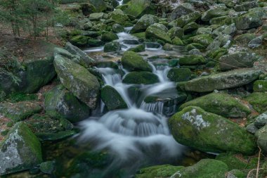 Soğuk baharda Krkonose Ulusal Parkı 'nda küçük bir dere.