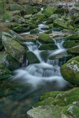 Soğuk baharda Krkonose Ulusal Parkı 'nda küçük bir dere.