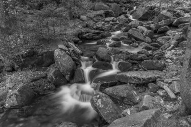 Soğuk baharda Krkonose Ulusal Parkı 'nda küçük bir dere.