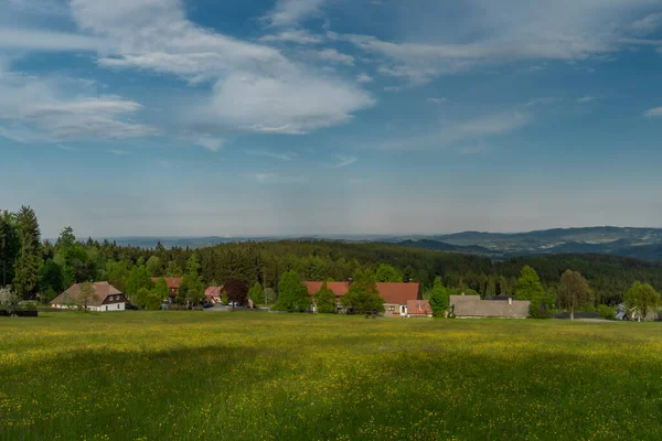 Prairies Forêts Près Javornik Colline Village Dans Parc National Sumava — Photo