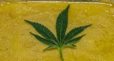 Ahşap masa üzerinde marihuana yağı zencefilli ekmek ve yeşil yapraklar.