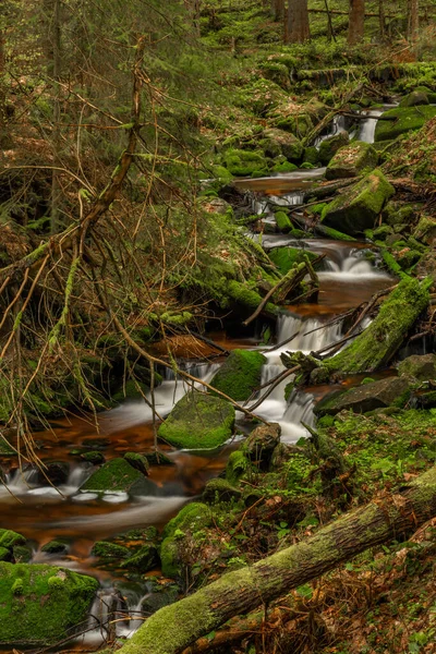 Ruisseau Couleur Skrivan Dans Les Montagnes Krusne Printemps Matin Après — Photo